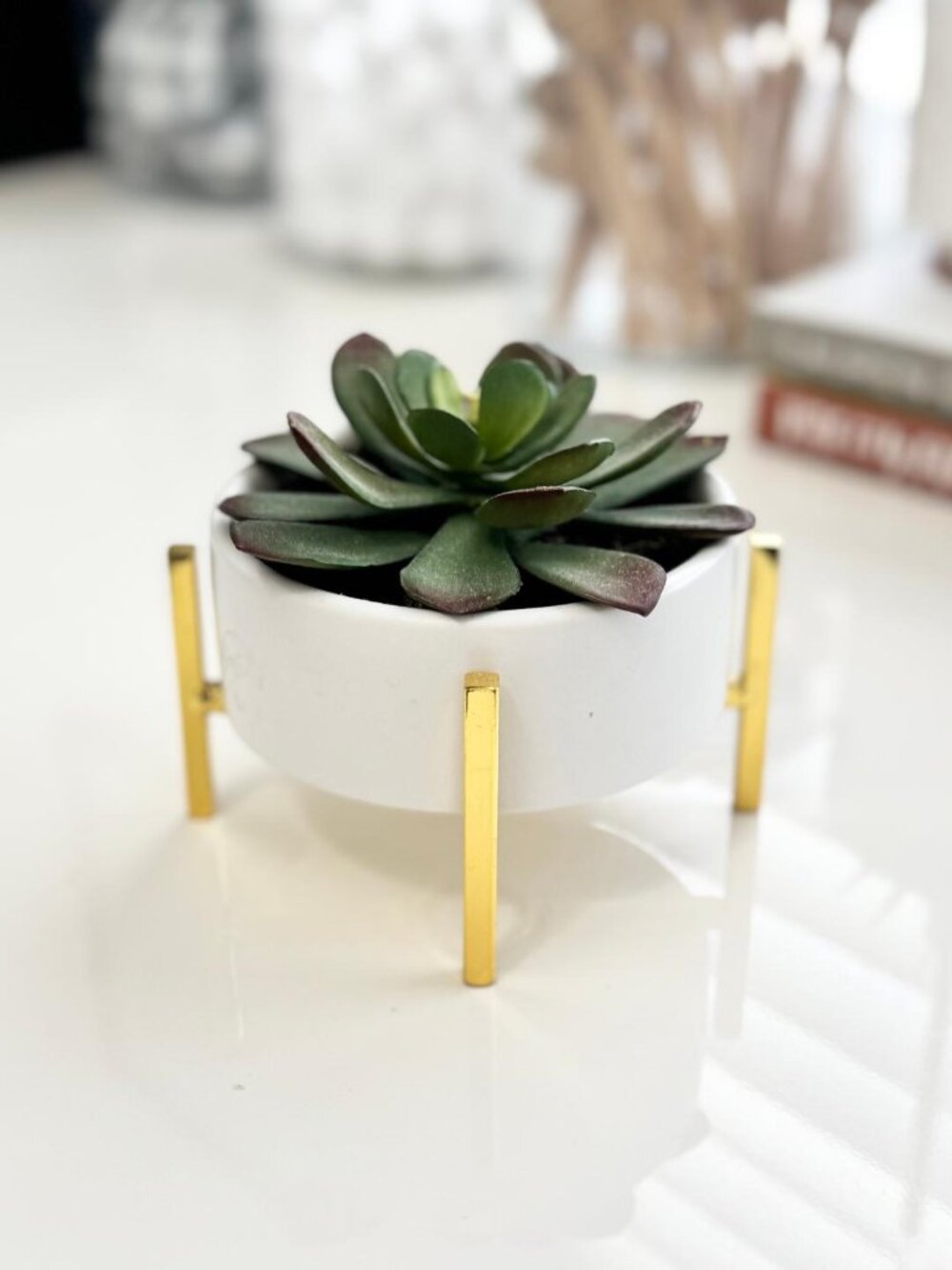 Faux Succulent Plant in White Gold Planter - House Table Decoration